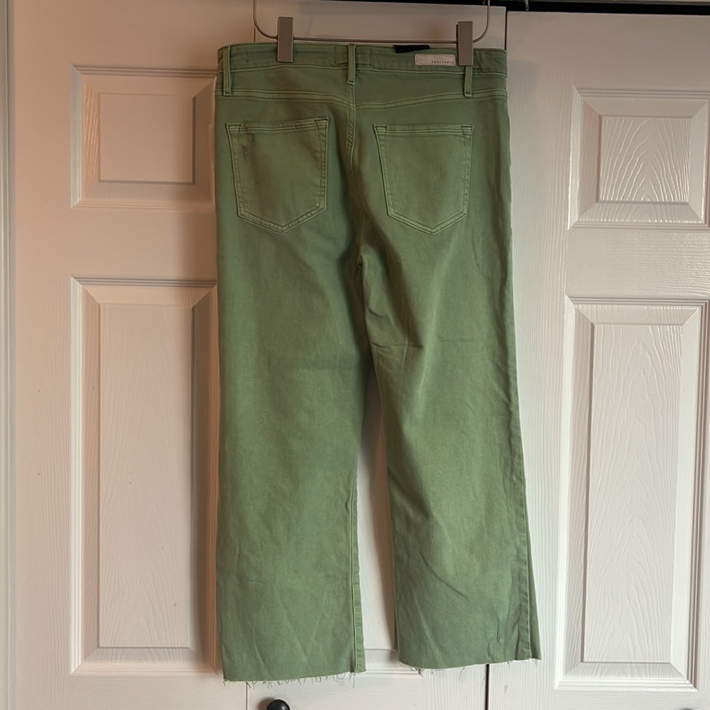 NWT Sanctuary Nonconformist Button Fly Green Jeans - Picture 11 of 12